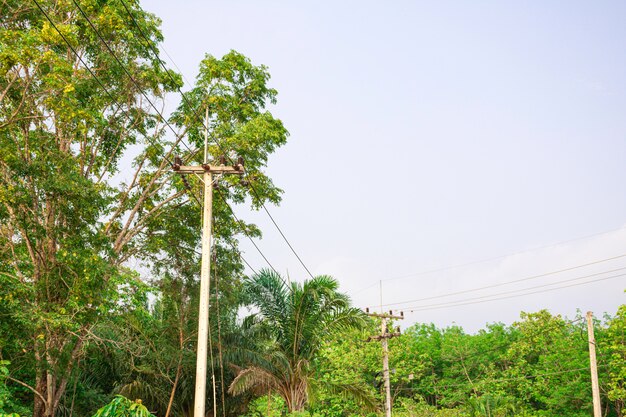 Ligne de transport d'électricité dans la nature