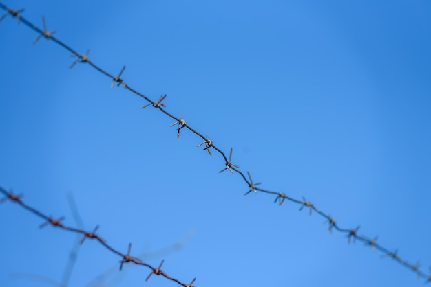 Lignes de fil de fer barbelé sur fond de ciel bleu