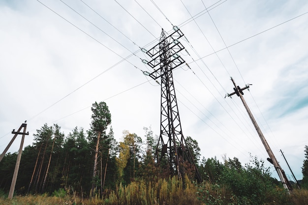 Lignes à haute tension entre les arbres sous le ciel nuageux.