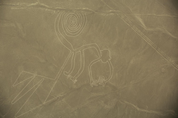 Lignes de Nazca Le Singe