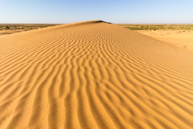Lignes de sable sur la dune dans le désert