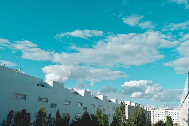 Lignes simples de différents bâtiments communautaires de banlieue Toits et ciel bleu vibrant