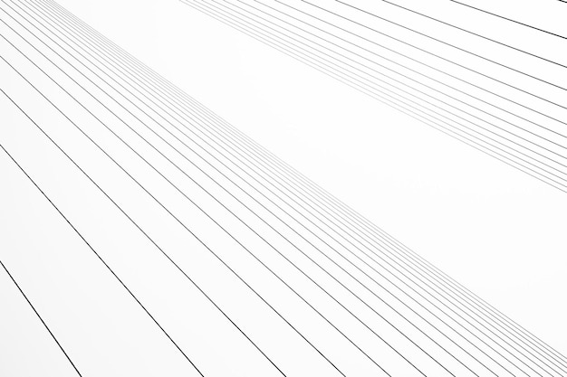 Photo les lignes sont affichées sur un fond blanc.