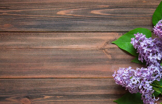 Lilas blanc sur un fond en bois marron