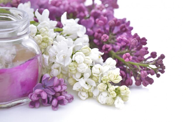 Lilas Blanc Et Rose Et Bougie