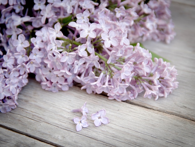 Lilas sur bois patiné bouchent