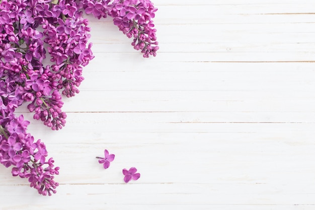 Lilas sur fond de bois blanc