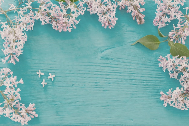 Lilas sur fond de bois vert