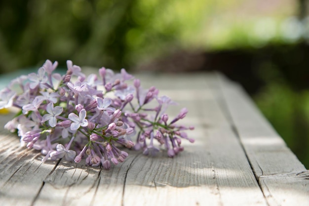 Lilas sur table en bois dans le jardin