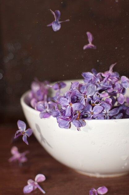 Lilas violet vif dans un bol sur la table.