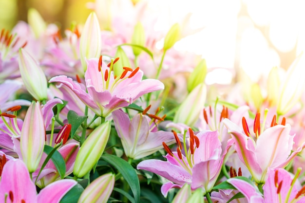 Lilies Fleurs Bouquet