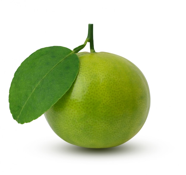 Limes isolé sur le fond blanc