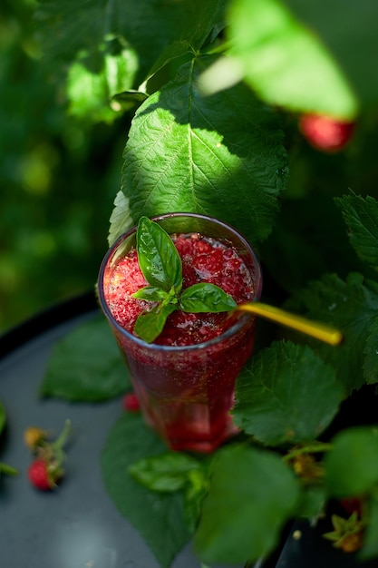 Limonade à l'eau détox framboise basilic Boisson froide d'été