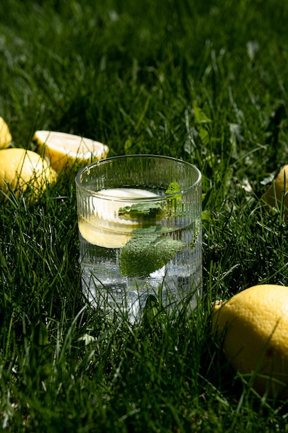 Limonade fraîche aux agrumes glacés à base de citron et de menthe Limonade d'été sans sucre hypocalorique Limonade sur fond d'herbe Limonade naturelle La photo a été prise à la lumière naturelle