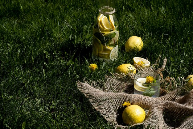 Limonade fraîche aux agrumes glacés à base de citron et de menthe Limonade d'été sans sucre hypocalorique Limonade sur fond d'herbe Limonade naturelle La photo a été prise à la lumière naturelle