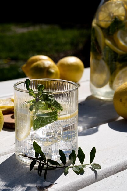 Limonade glacée fraîche aux agrumes à base de citron et de menthe Limonade d'été sans sucre à faible teneur en calories Limonade préparée naturellement Photo prise à la lumière naturelle