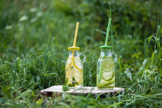 Limonade rafraîchissante au citron et au citron vert. Mode de vie