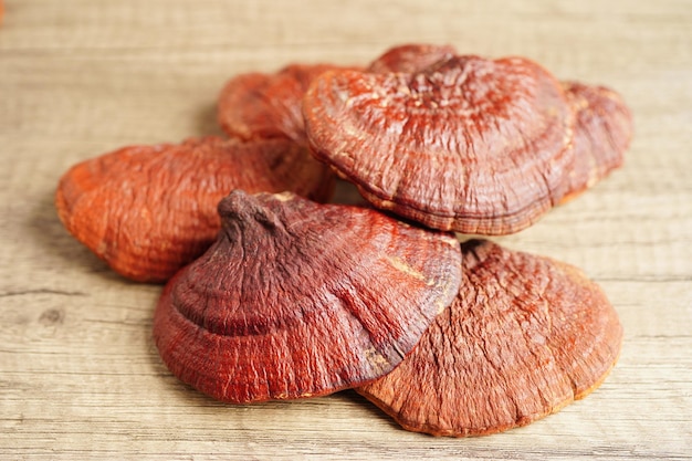 Lingzhi ou champignon Reishi avec capsules nourriture saine naturelle biologique