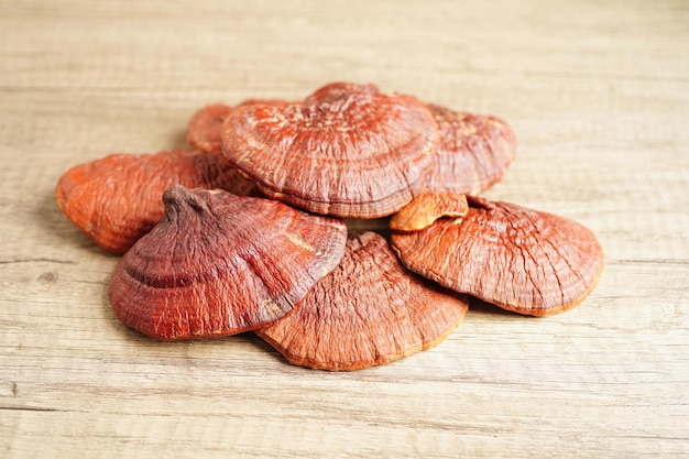 Lingzhi ou champignon Reishi avec capsules nourriture saine naturelle biologique