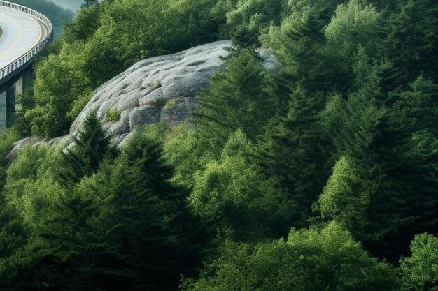 Photo linville caroline du nord états-unis juillet linn cove viaduc vu d'en haut pendant un après-midi brumeux dans le