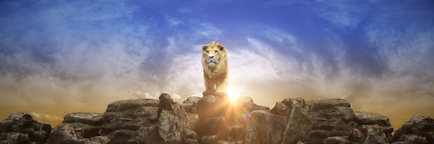 Lion au coucher du soleil rendu 3d