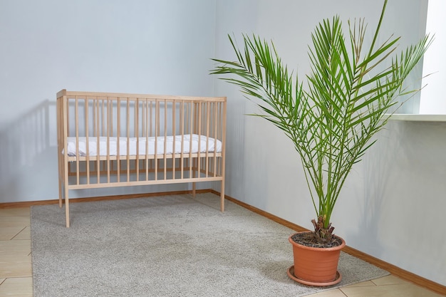 Lit bébé dans une pièce vide spacieuse et lumineuse avec une fleur de palmier dattier.