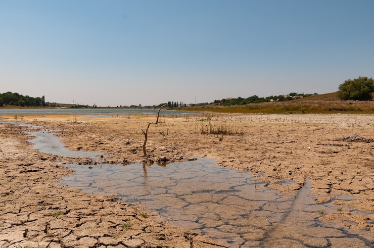 Photo le lit du lac s'assèche en raison de la sécheresse.