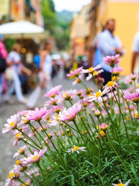 Photo un lit de marguerites sur un arrière-plan flou d'une rue italienne bondée