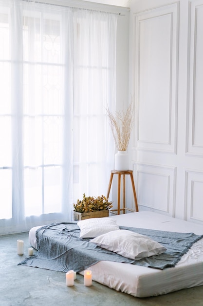 Lit et plantes près de la fenêtre à la maison