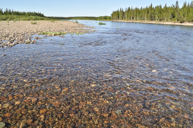 Lit de rivière de galets