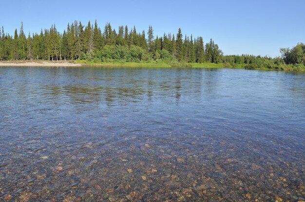 Lit de rivière de galets