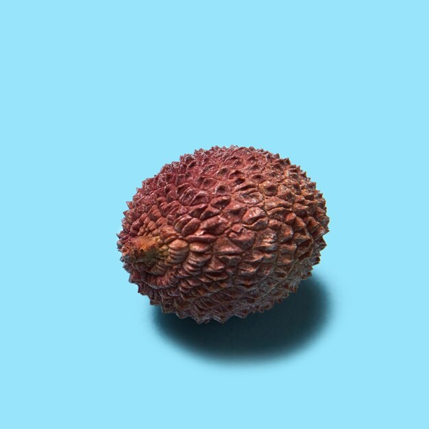 Litchi entier sur fond bleu avec ombre et copie espace fruits tropicaux