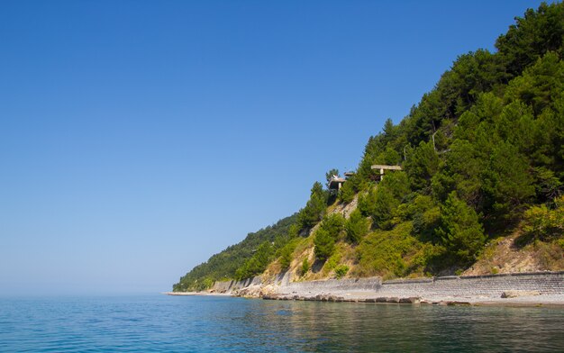 Littoral, collines, herbe, vue mer