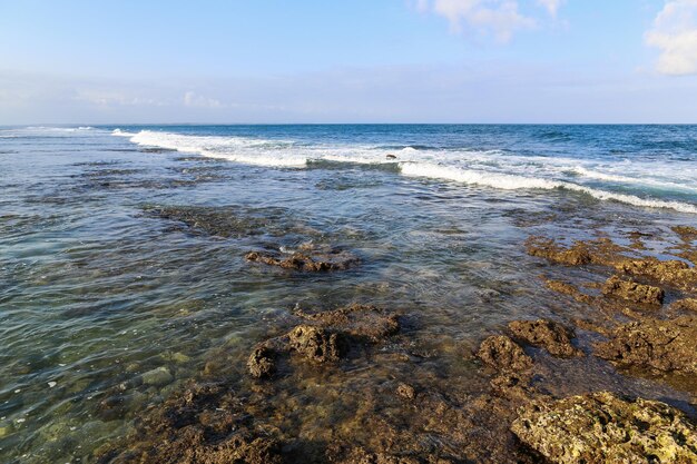 littoral de la mer sur une île tropicale exotique