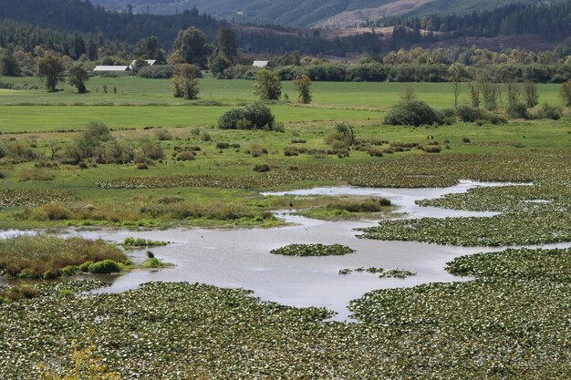 Littoral de l'oregon