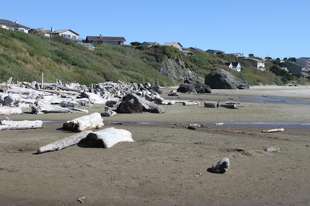 Littoral de l'oregon