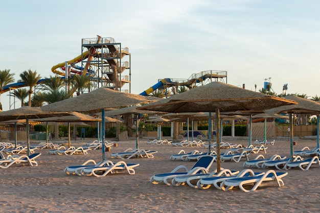 Littoral de plage avec transats et parasols sans personnes Station balnéaire déserte