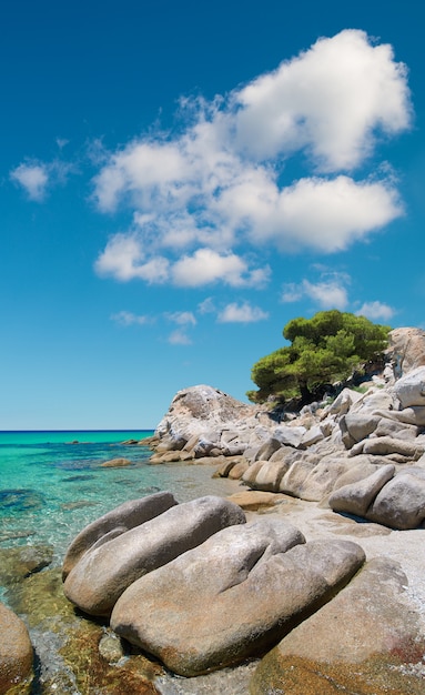 Littoral, Sithonia, Chalcidique, Grèce