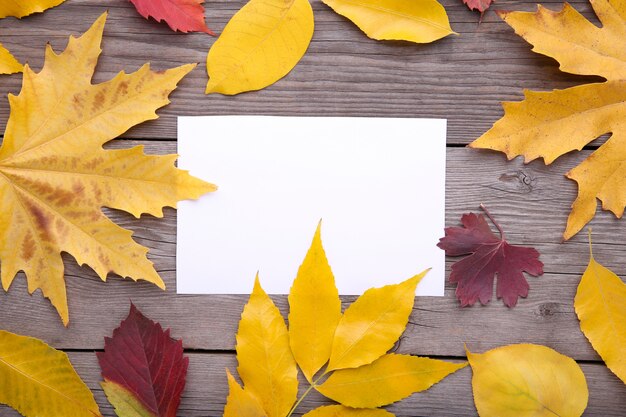 Livre blanc avec des feuilles d'automne sur une table grise