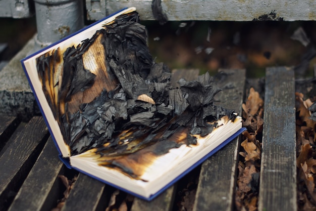 Livre brûlé et pages sur bois et feuilles