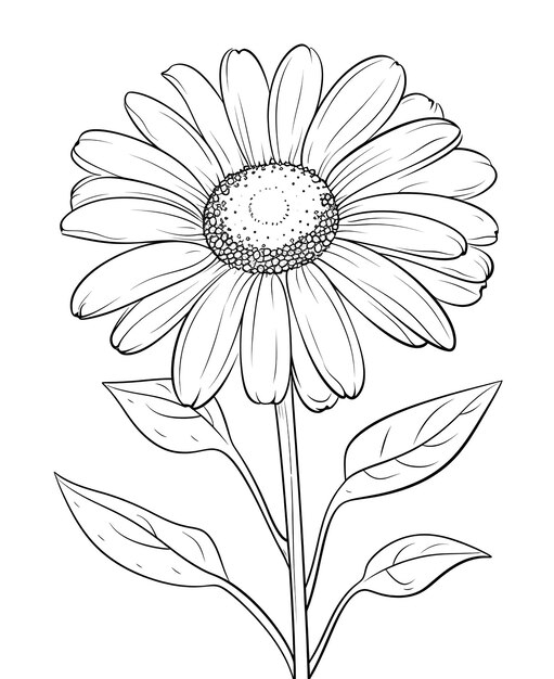 Livre à colorier fond floral fleurs sur fond blanc mise au point douce sélective