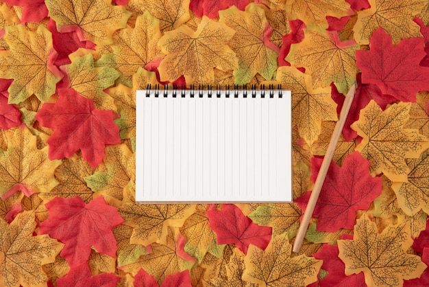 Photo livre et crayon sur des feuilles d'érable