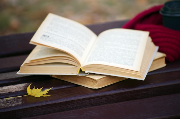 Photo livre et écharpe sur banc en bois dans le parc d'automne