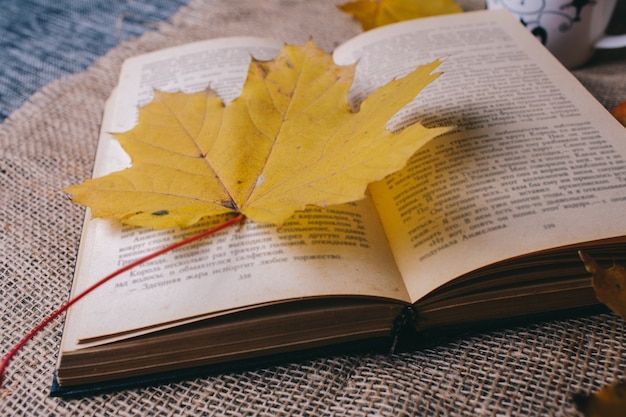 Livre et feuilles d&#39;automne sur plaid rouge