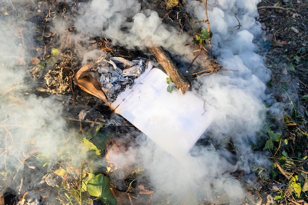 Livre fumé sur tas de branches coupées dans le jardin