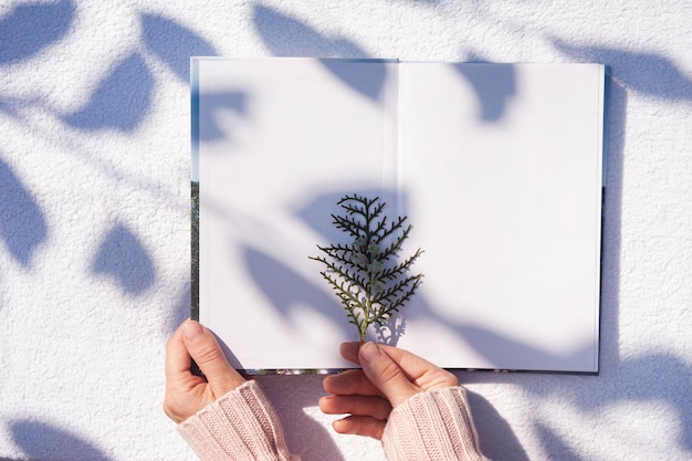 livre en mains avec une belle ombre