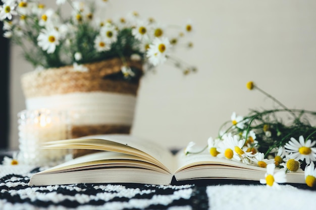 Un Livre Ouvert Et Un Bouquet De Marguerites Photographie Esthétique Atmosphérique