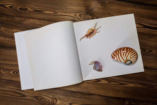 Un livre ouvert, des coquillages et une couverture sur le fond en bois