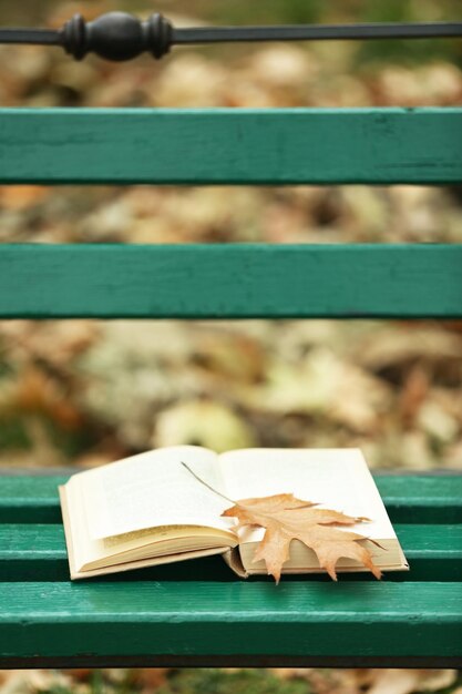 Photo livre ouvert avec feuille posée sur le banc dans le parc d'automne