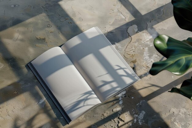 Photo un livre ouvert et l'ombre d'un arbre